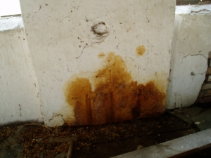 Obrázok - Detailný pohľad na stenu nasiaknutú agrochemikáliami. (165)