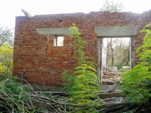 Obrázok - Pohľad na zvyšky budovy skladu agrochemikálií. (206)