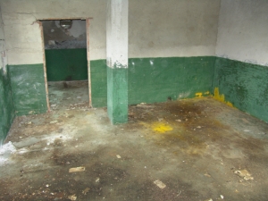 Obrázok - Pohľad na podlahu a steny – viditeľné stopy po agrochemikáliách. (219)