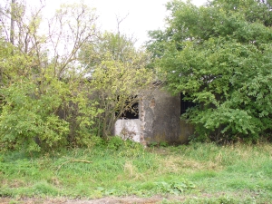 Obrázok - Pohľad na budovu skladu agrochemikálií. (238)